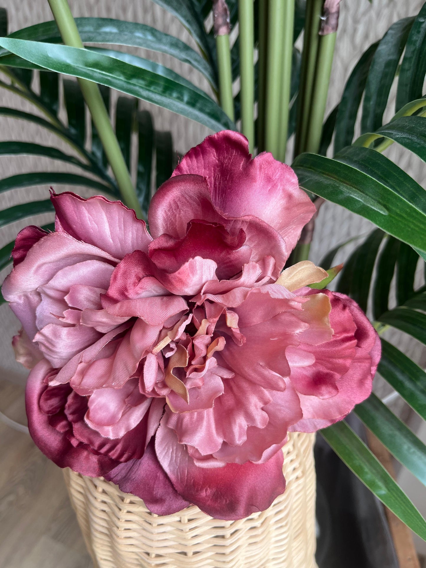 Flor peonias degrade