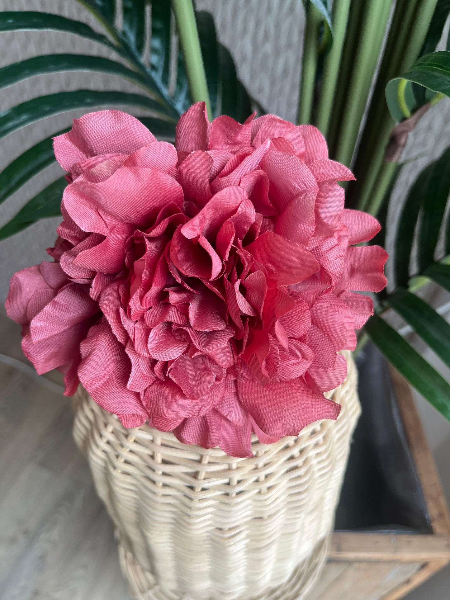 flor peonia pequeña